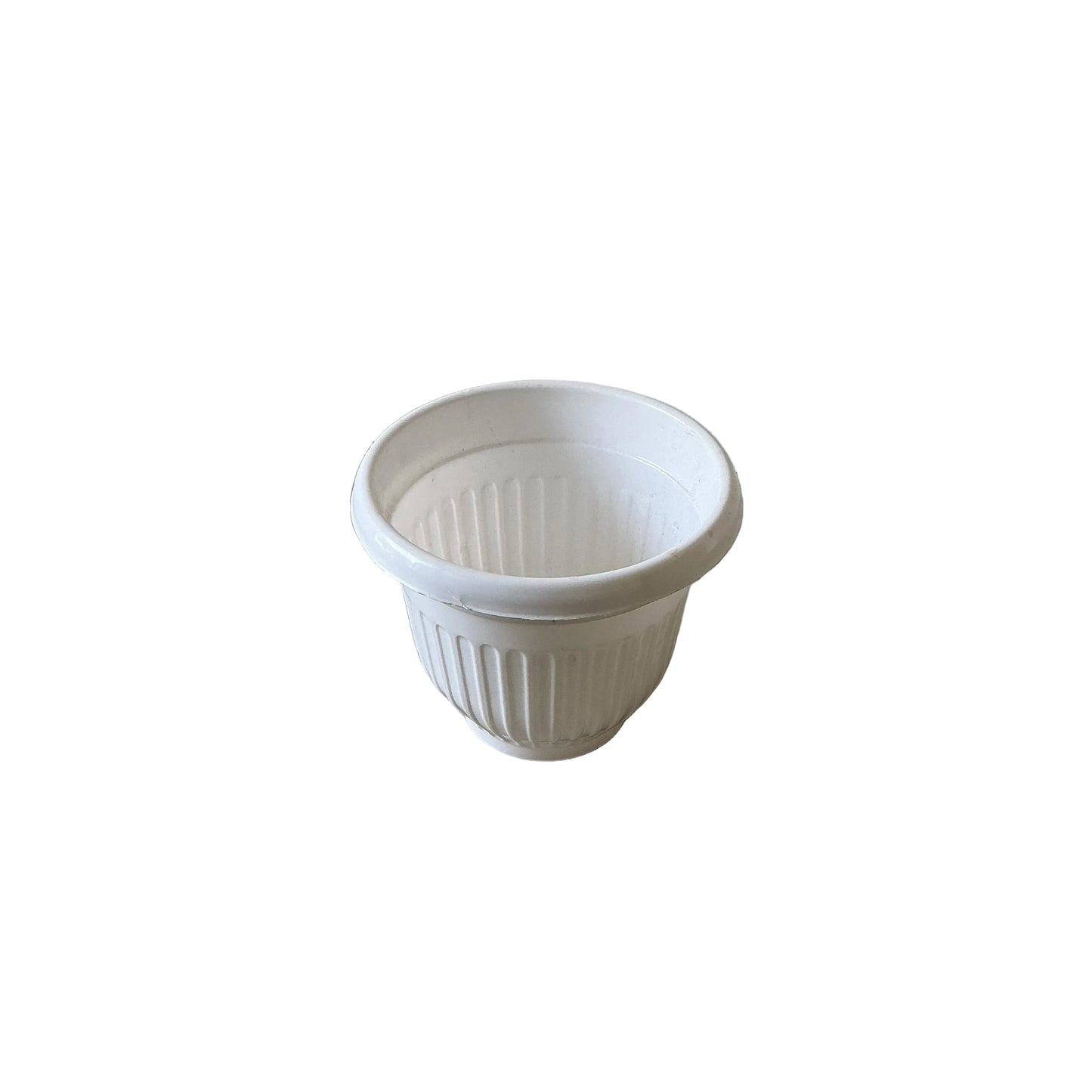 8 Inch White Olive Pot