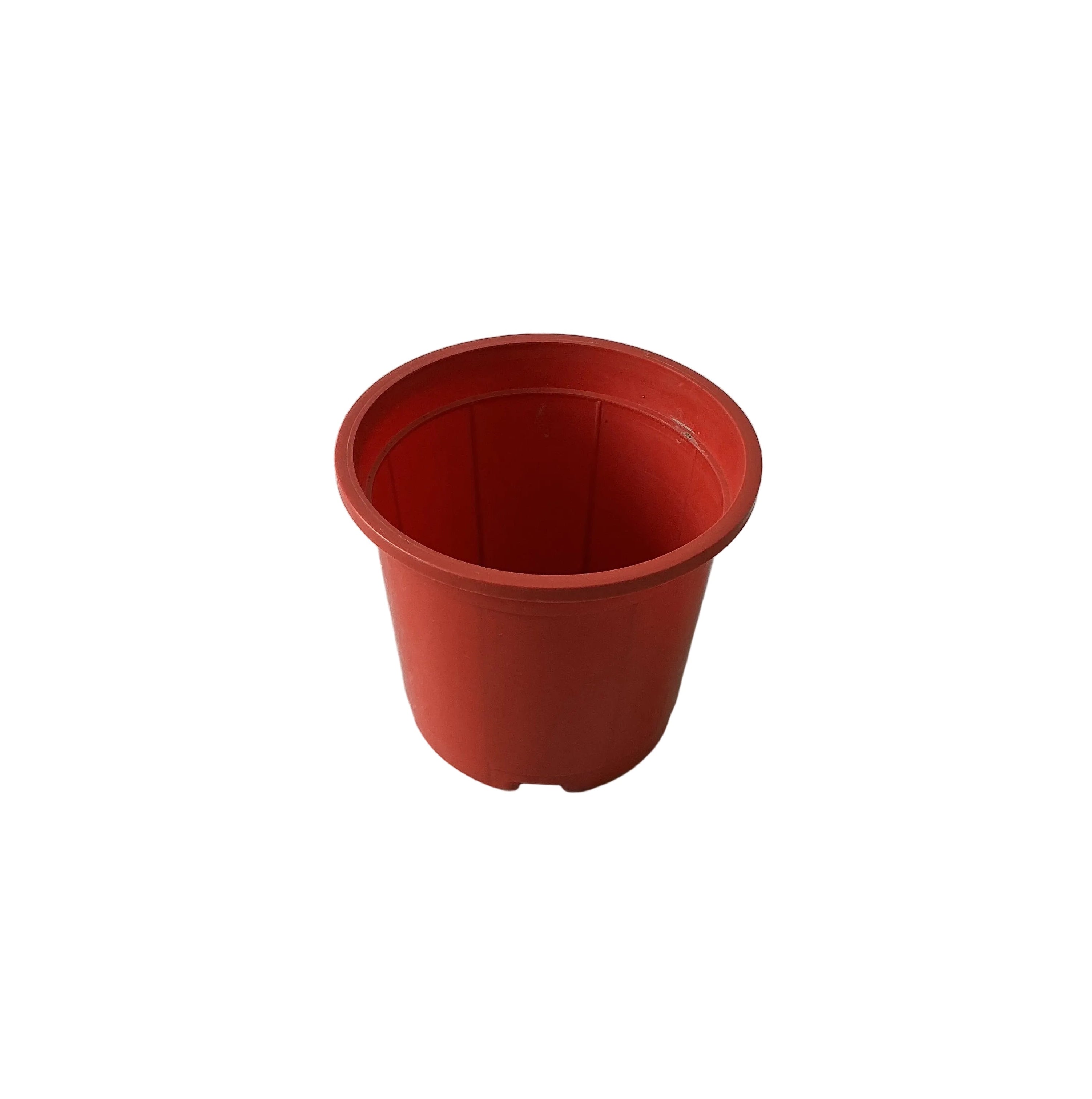 8 Inch Red Nursery Pot – Ruhigreens