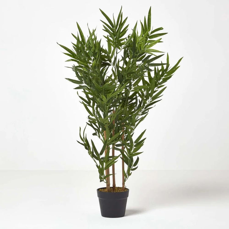 Outdoor plants