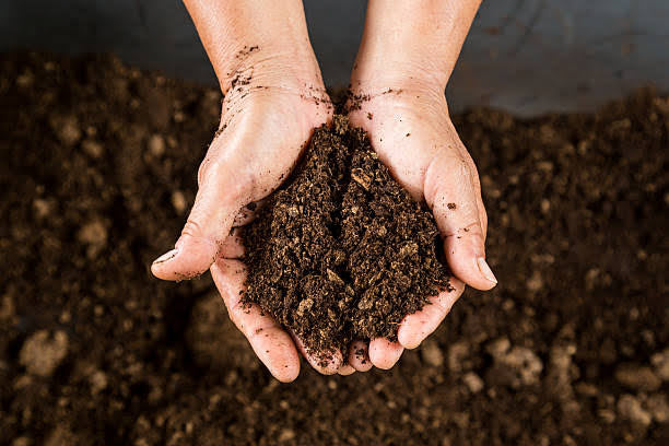 Soil and compost