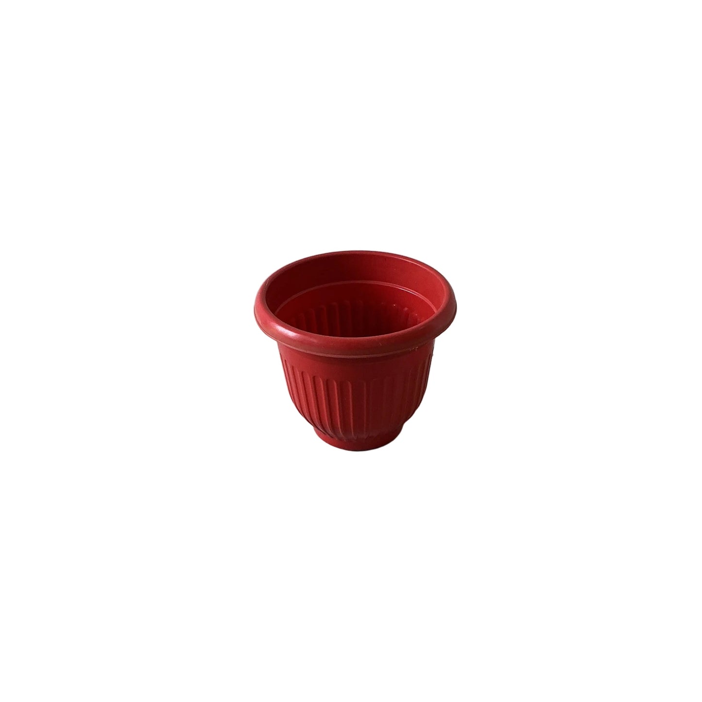 8 Inch Red Olive Pot