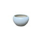 8 Inch Apple Leaf Ceramic Pot