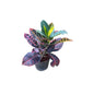 Patra croton plant In 6 inch black nursery pot
