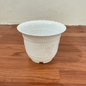 Flower Design Plastic Plan In 6 Inch White Pot
